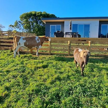 Country Comfort - Only 10 Minutes From Hamilton Cbd Exterior foto