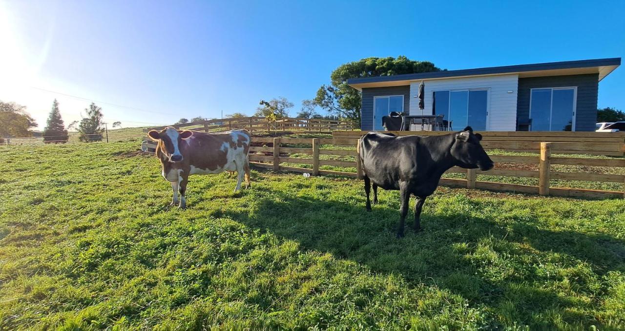 Country Comfort - Only 10 Minutes From Hamilton Cbd Exterior foto