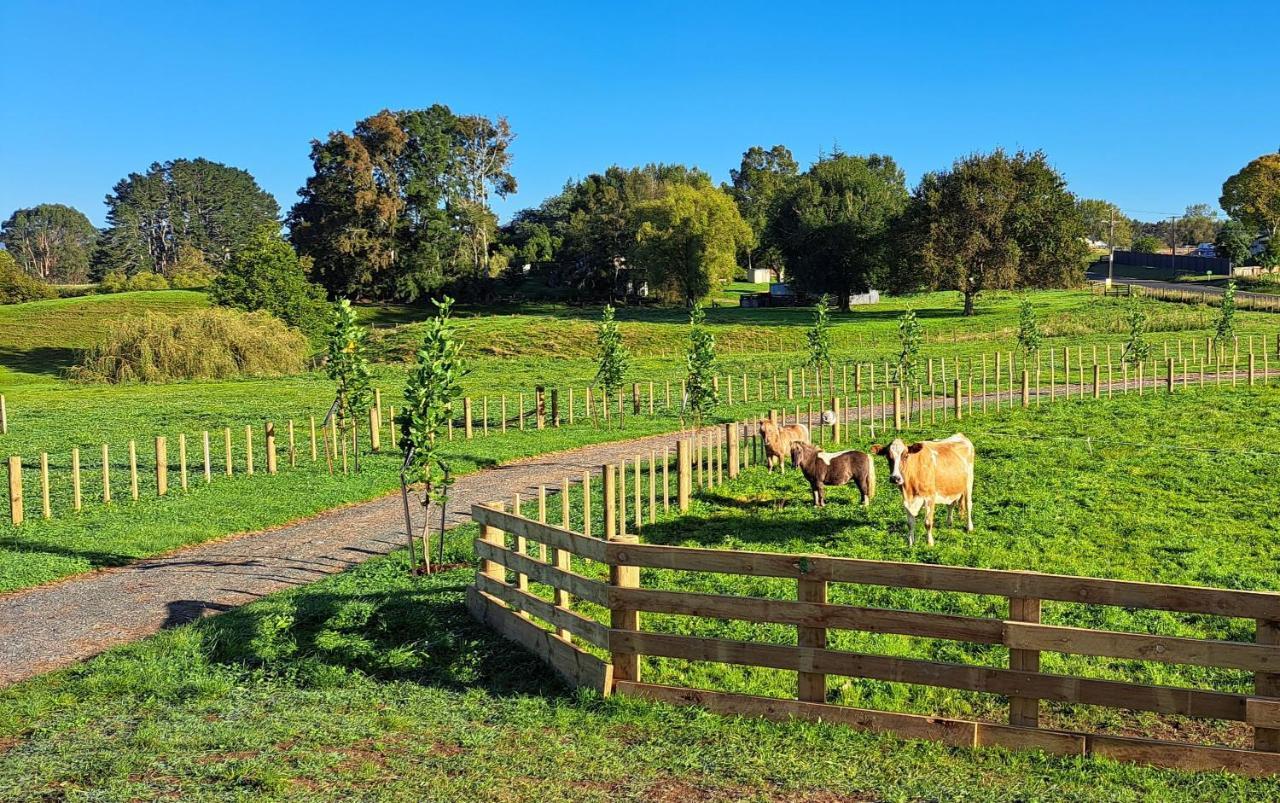 Country Comfort - Only 10 Minutes From Hamilton Cbd Exterior foto